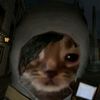 lol_simon2