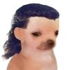laxhococo