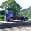 roropurple9997