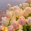 llinh.nhi1359