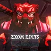 NinjaZxom