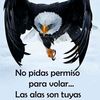 rosahuinca1