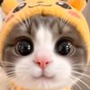 talkingtomcat13_