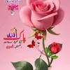 user8772541495665hhh