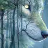 tania.zalazar38
