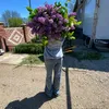 yana32647