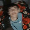 zia_ul01