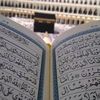 user8731046193693