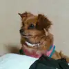 miku.jj