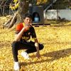 ully279