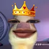 hlmt_0