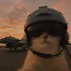 crazykiwi11