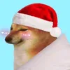 diiquangdz