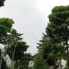 pengikutmu1202