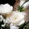 user437126691