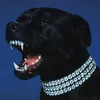 BonezTheDogg