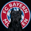 fcbayernazee