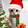 xsx_cha