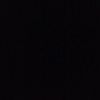 ienin_zd1