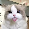 akkspriv