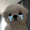 mw.dynn0407
