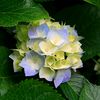azamat__571