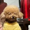 jian_273
