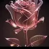 oummohamed4077