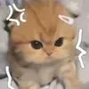 mabajenmarygrace