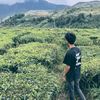 _rangguik