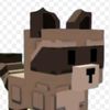 racoon.id.27