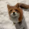karolebnnyw