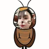 e.wize_qn