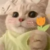 y.nhu999000