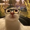 mypuiis