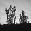 nurzhan_0631