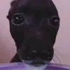 .yasmim150