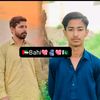 sheharyar8008