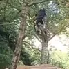 biking_is_sigma