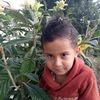user71458843291267