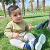 aramcan75