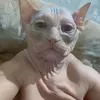 bokeron_33