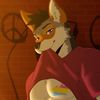 kibacoyote