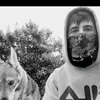 salvaml666