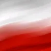 adamek10025