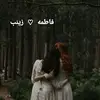 dfgjghvgf