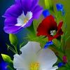md.bablu9056