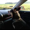 pawelek.gawelek7
