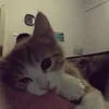 ywwwwwwn