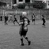 vieira.11.1